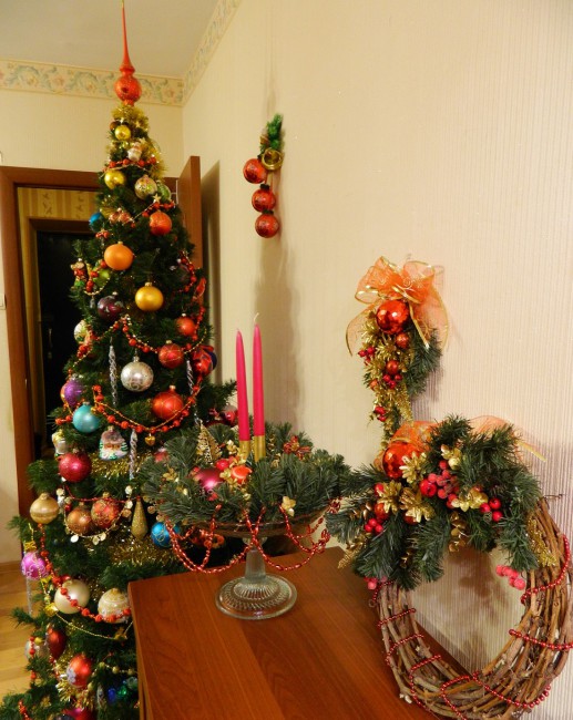 DSCN9571осчсп.jpg