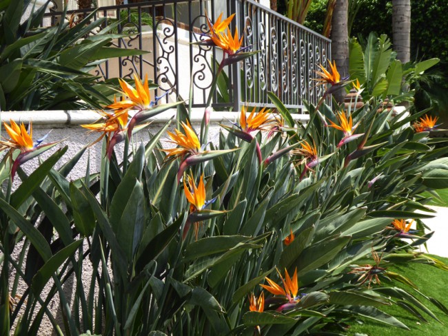 P1000413.jpg