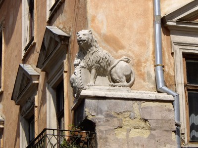 lion-1.jpg