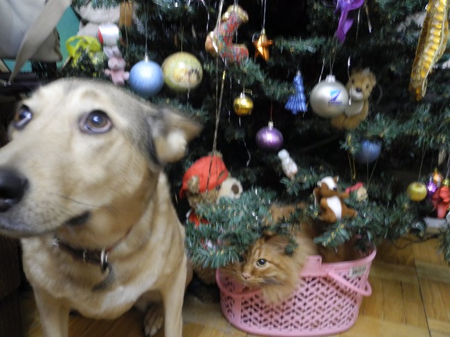 DSCN6649.JPG