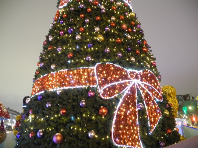 DSCN6726.JPG