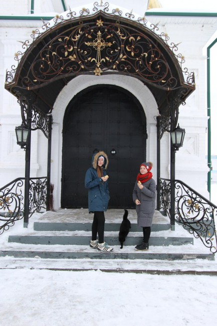 грзинская кошки.jpg
