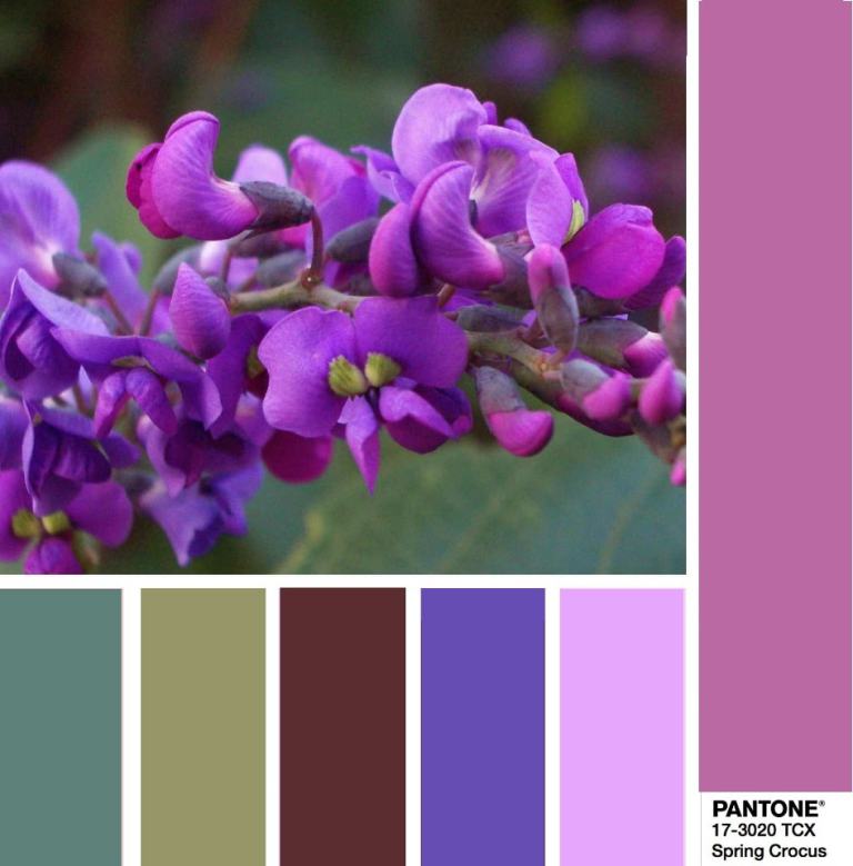 Pantone-Fashion-Color-Trend-color-combination-Spring-2018-Swatch-Spring-Crocus-min-1.jpg