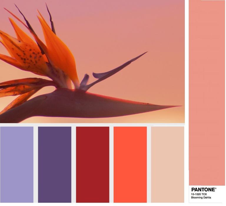 Pantone-Fashion-Color-Trend-Report-combination-Spring-2018-Swatch-Blooming-Dahlia-min.jpg