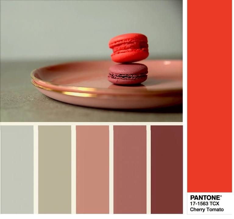 SS18-02-PANTONE-17-1563-Cherry-Tomato-min.jpg