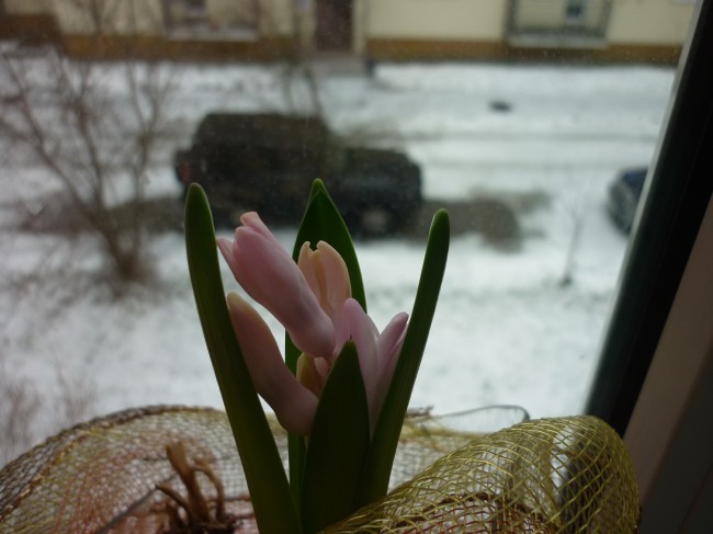 P1260205+.jpg