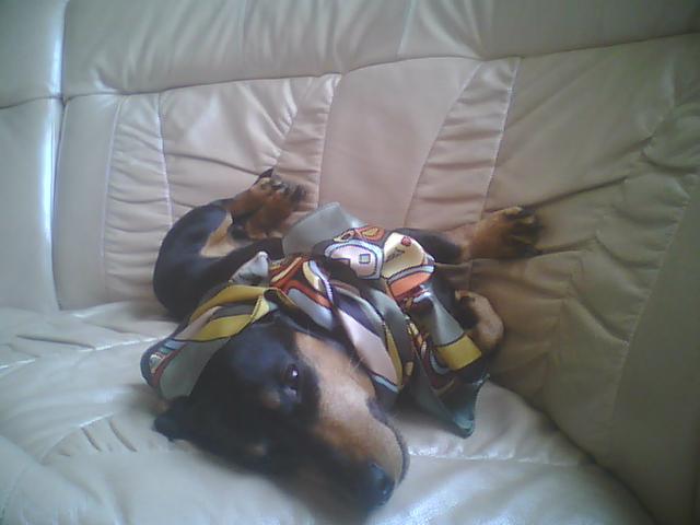 Picture0271.jpg