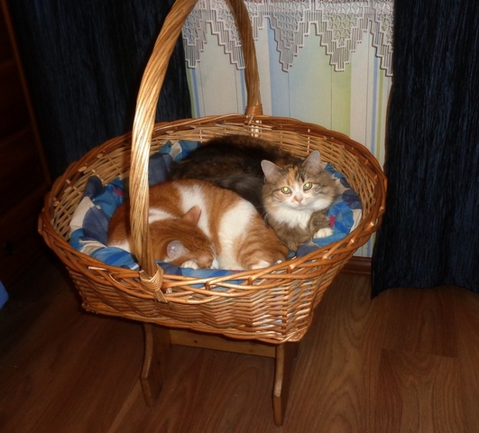 DSC00717.JPG