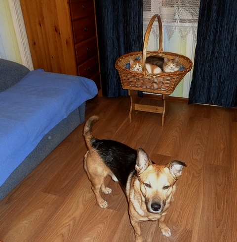DSC00720.JPG
