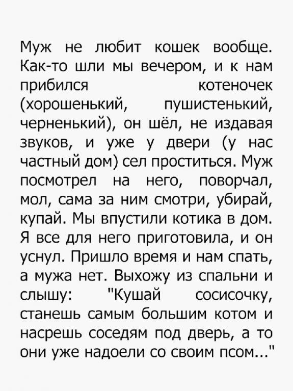 котеночек.jpg