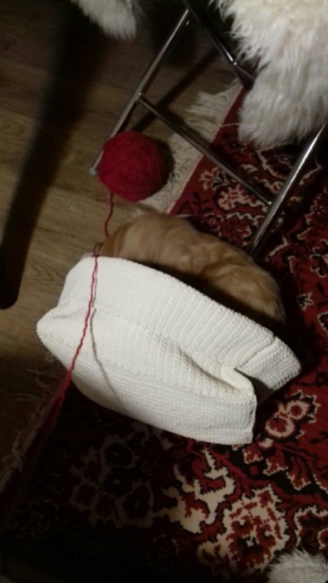 20180124_153927-1.jpg