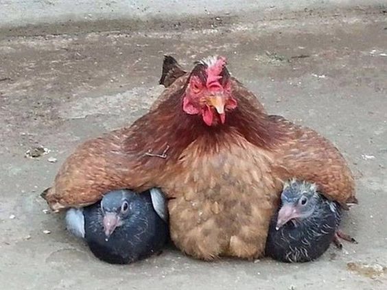 1а.jpg