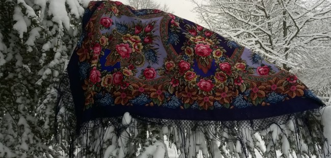 WP_20180207_031.jpg