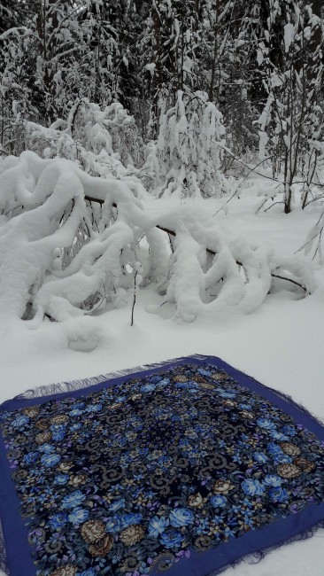 20180211_141731.jpg