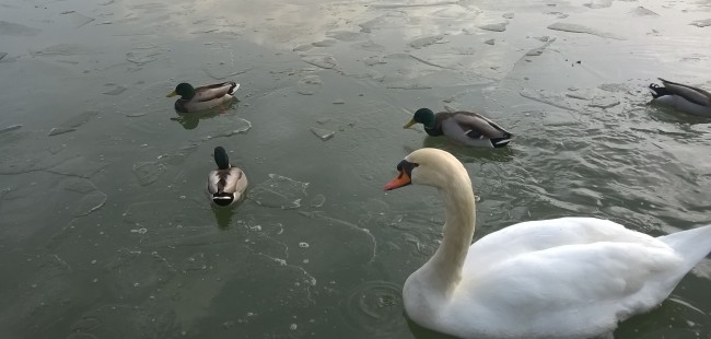 WP_20180216_011.jpg