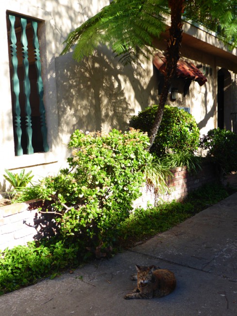 P1100207.jpg