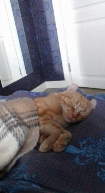 20180224_194404-1.jpg