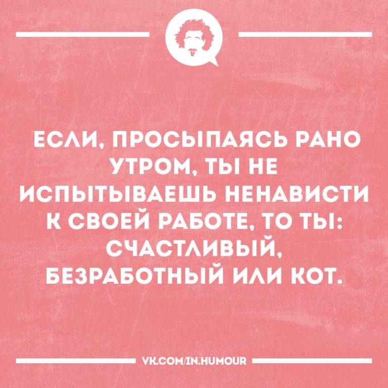 кот_работа.jpg