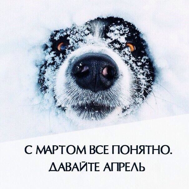 3WHlqiiW8nw.jpg