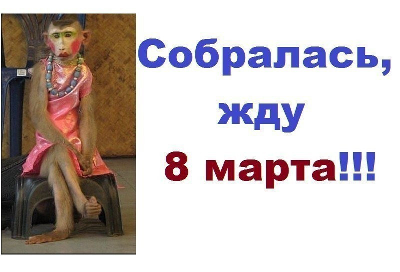Жду 8 Марта.jpg