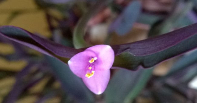 WP_20180307_005.jpg