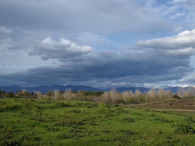 P1100394.JPG