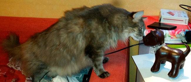 20180317_140002_1.jpg