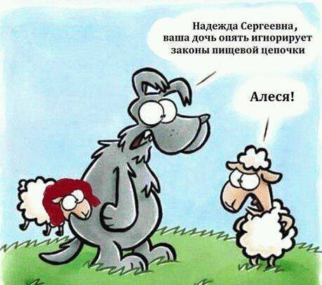 цепочка.jpg