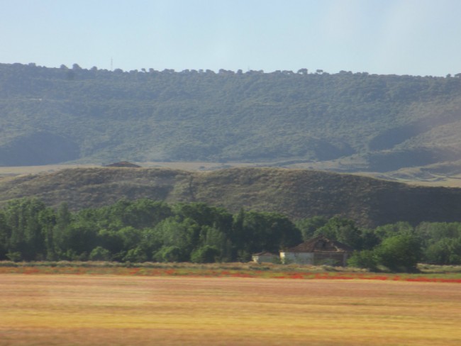S52.jpg