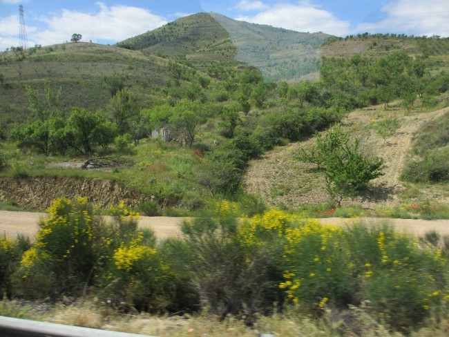 S50.jpg
