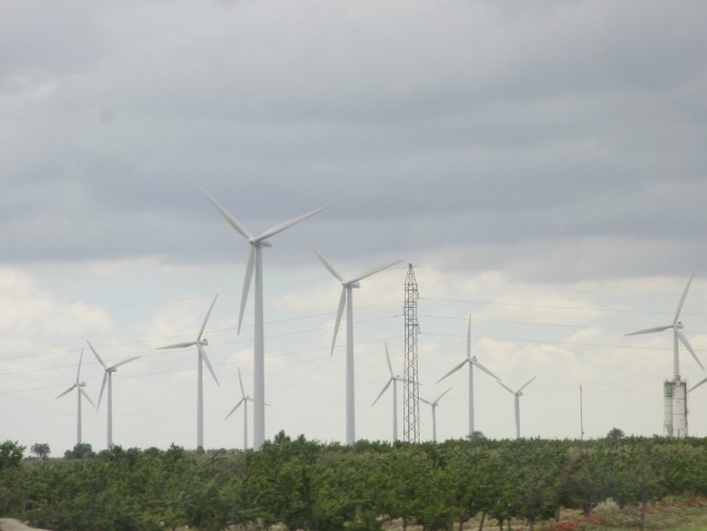 S44.jpg