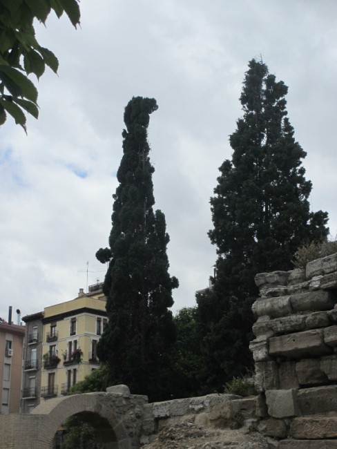 S20.jpg