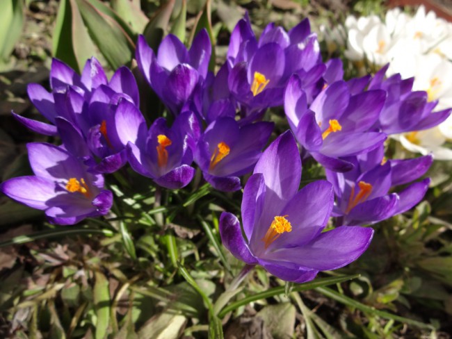 DSC03790.JPG