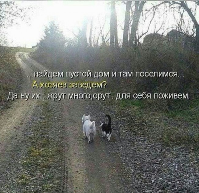 Друзья