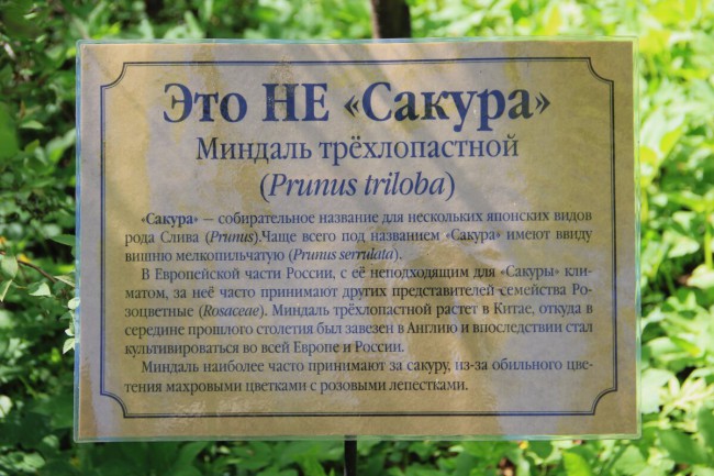 IMG_7333.JPG
