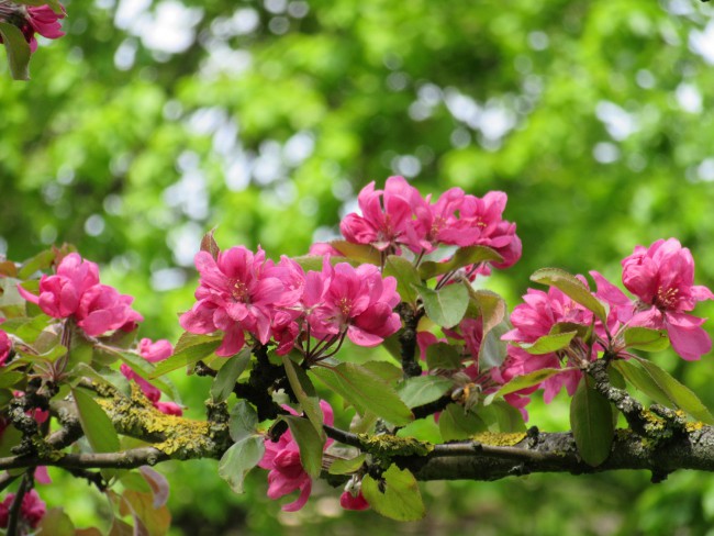IMG_3847_1.jpg