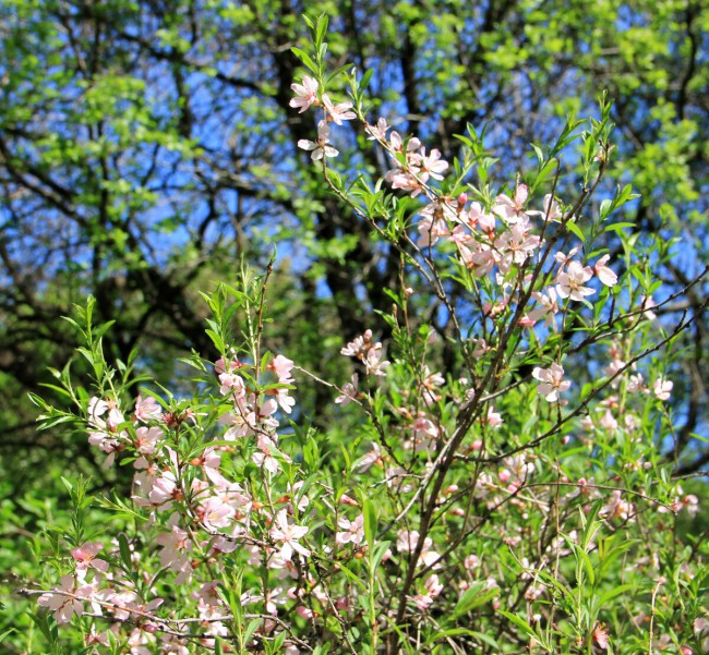 IMG_7349.JPG