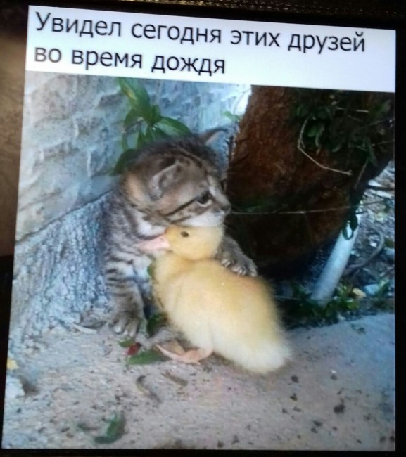 IMG-20180506-WA0002.jpg