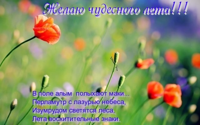08H367dw8qo (1).jpg