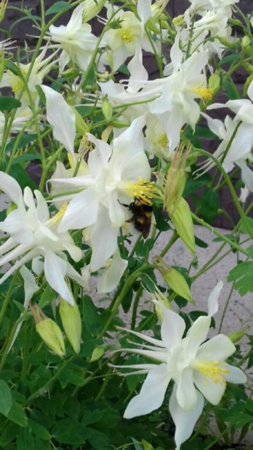 20180701_122619.jpg