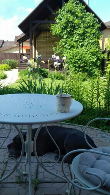 20180701_122914-1.jpg
