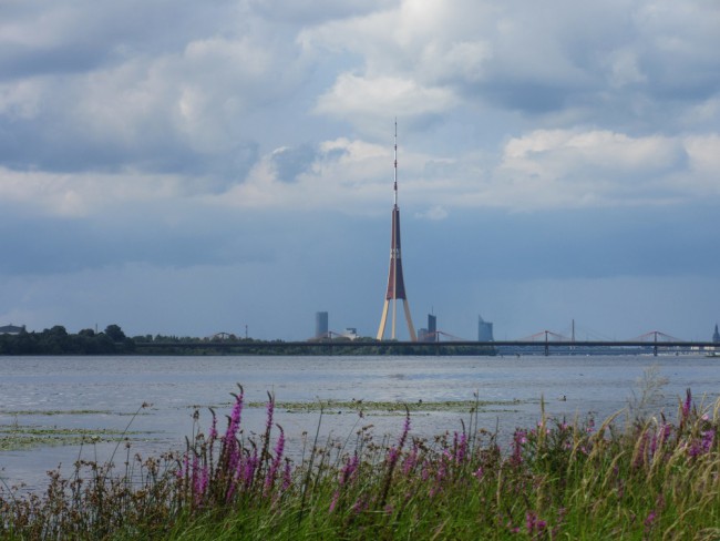 IMG_7311_1.jpg