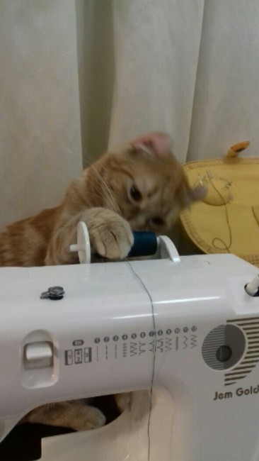 20180711_231903-1.jpg