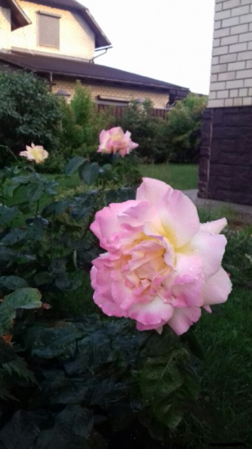 20180710_125951.jpg
