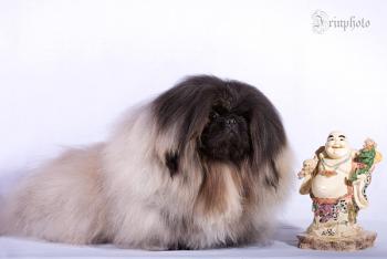 пик Цезарь. Краснодар.