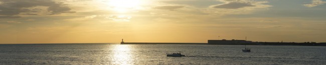 DSC06783.jpg