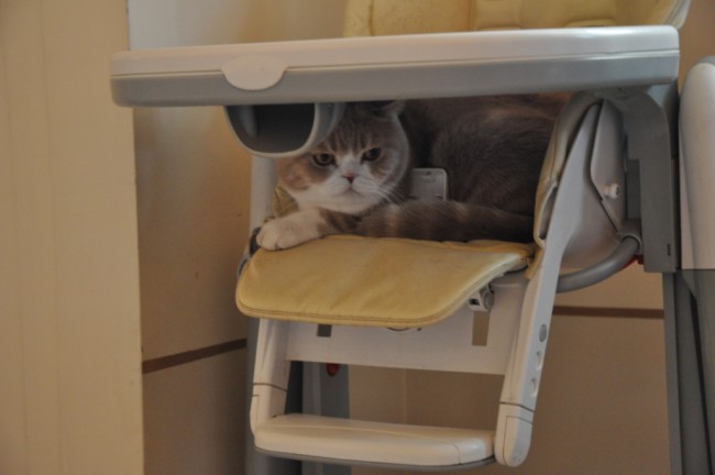 DSC_0029 сж.jpg
