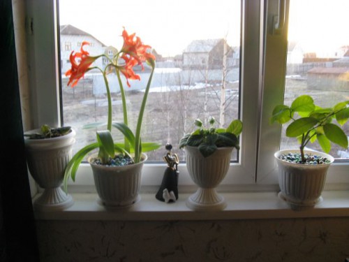 IMG_1257.jpg
