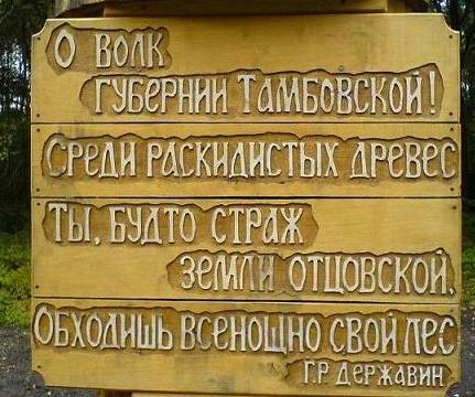 волк1.jpg