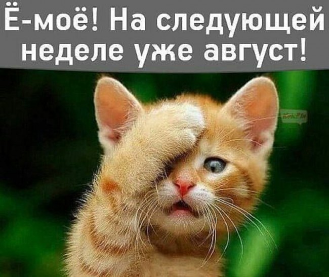 ё - моё! На следующей неделе уже август....jpg